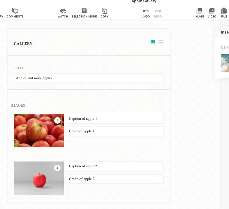 The gallery content type in the editor, with a title field and two images each carrying a caption and credit