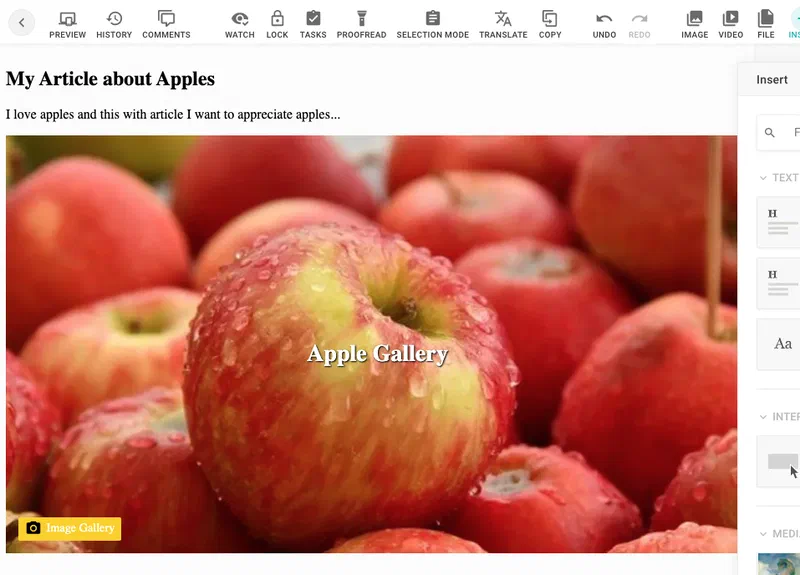 The same article with a linked gallery, the teaser now showing the gallery image titled Apple Gallery and an Image Gallery badge