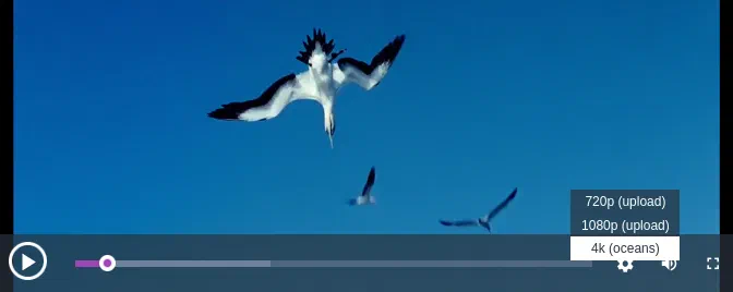 Video include player