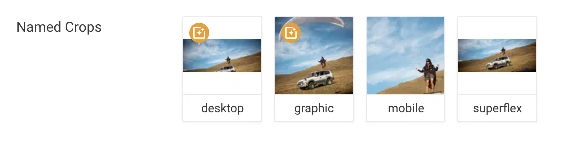 A Named Crops row showing the desktop, graphic, mobile and superflex crops of one image