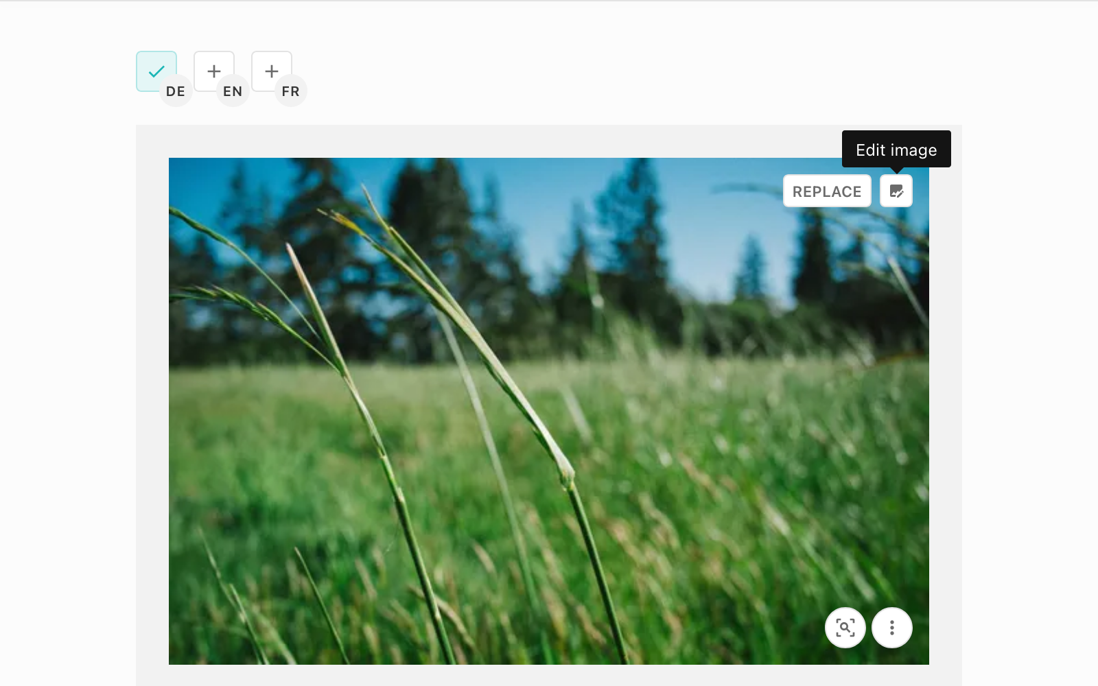 Image Editor Button