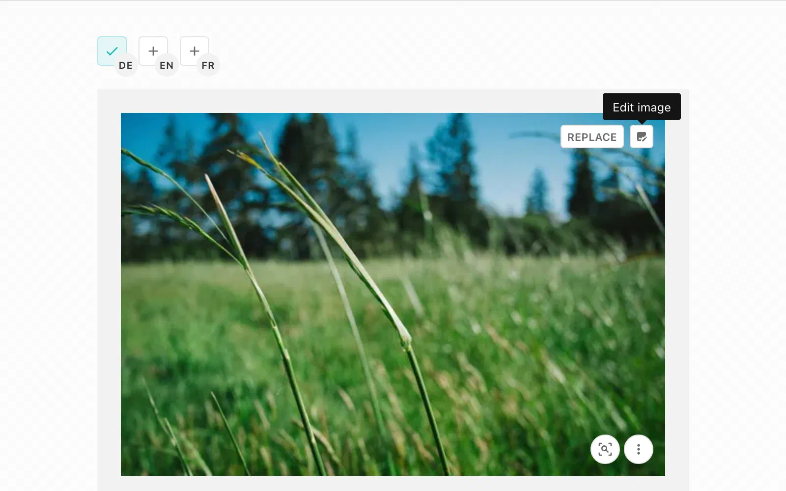 Image Editor Button