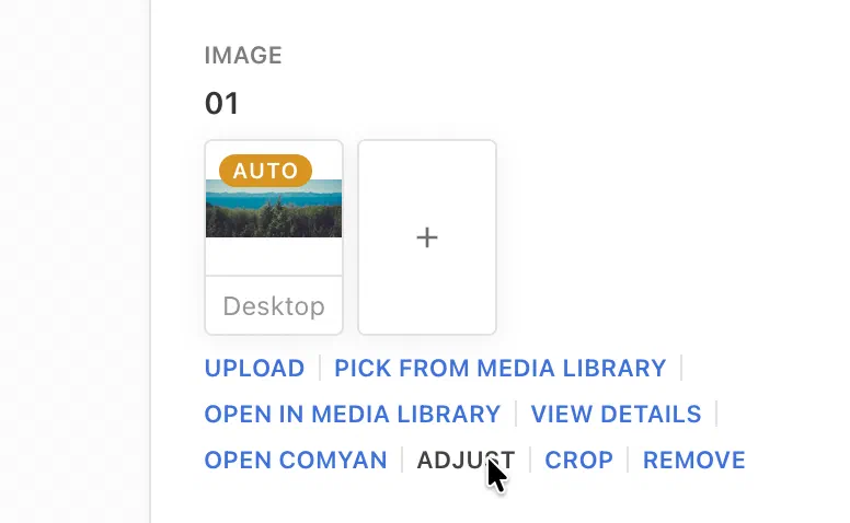 Adjust image