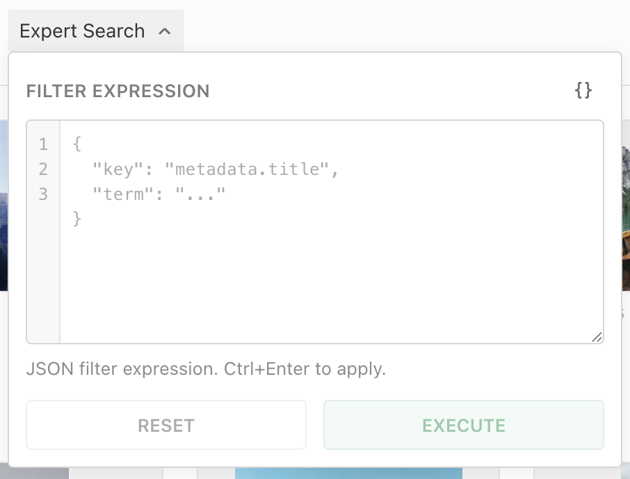 Expert Search display filter with a JSON filter expression editor