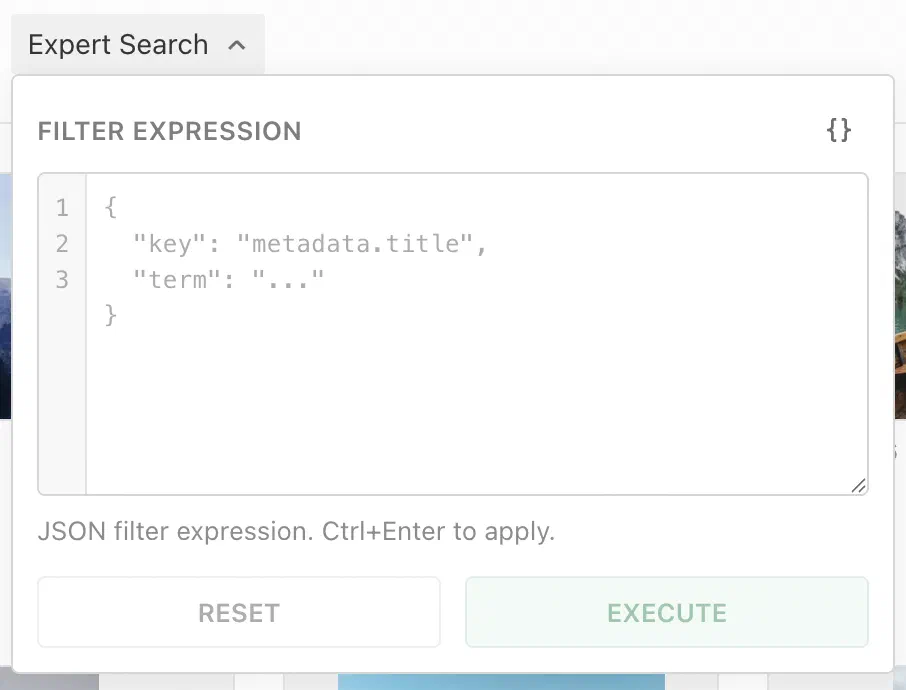 Expert Search display filter with a JSON filter expression editor