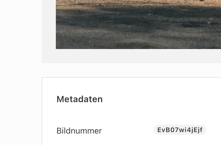 Metadata form with a li-media-handle property.