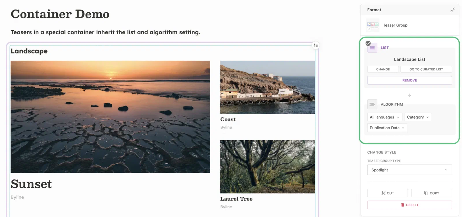 Focused teaser container showing settings for curated list and algorithm of all the teasers inside.